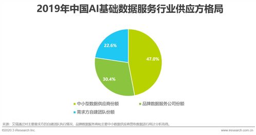 2020年中国AI基础数据服务行业发展报告 数据处理服务的增长路径